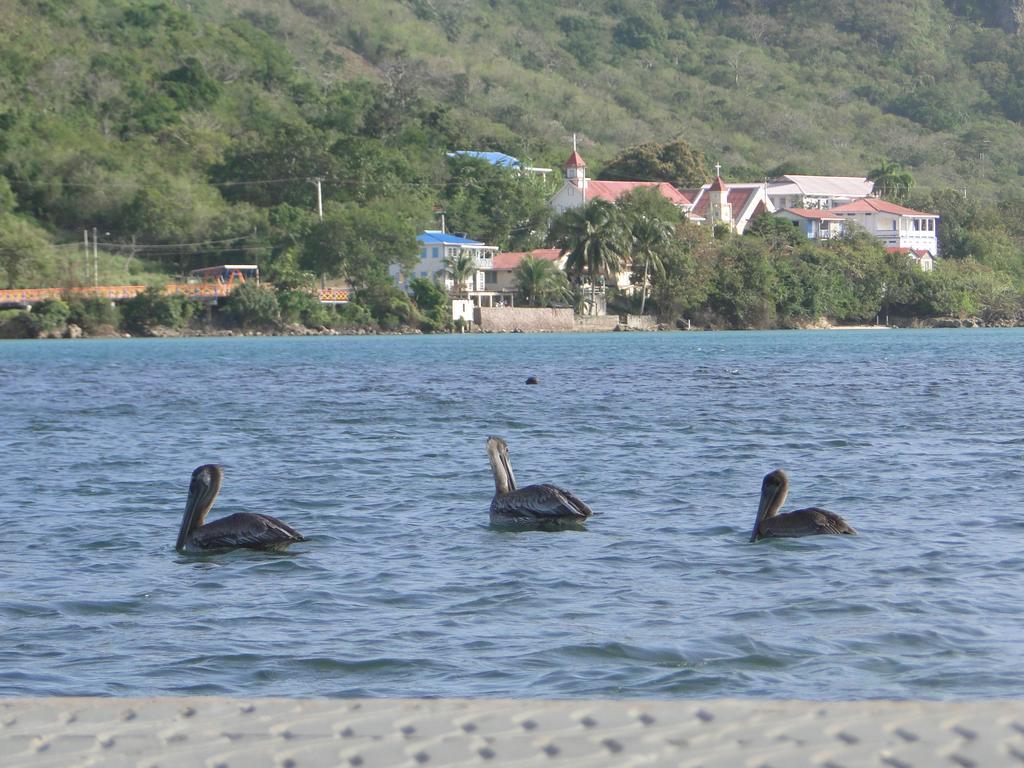 Providencia Island 阳光天堂宾馆酒店 外观 照片
