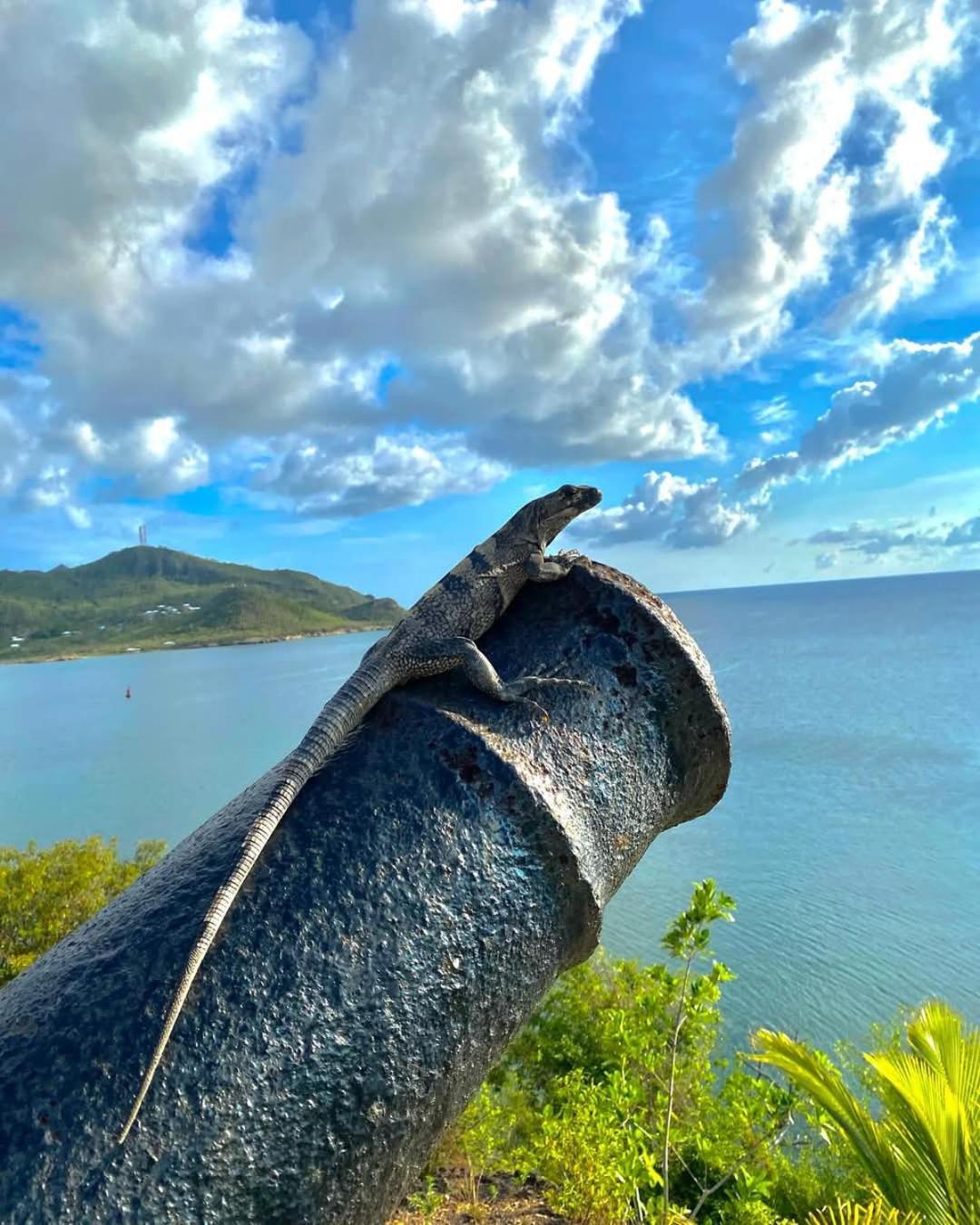 Providencia Island 阳光天堂宾馆酒店 外观 照片