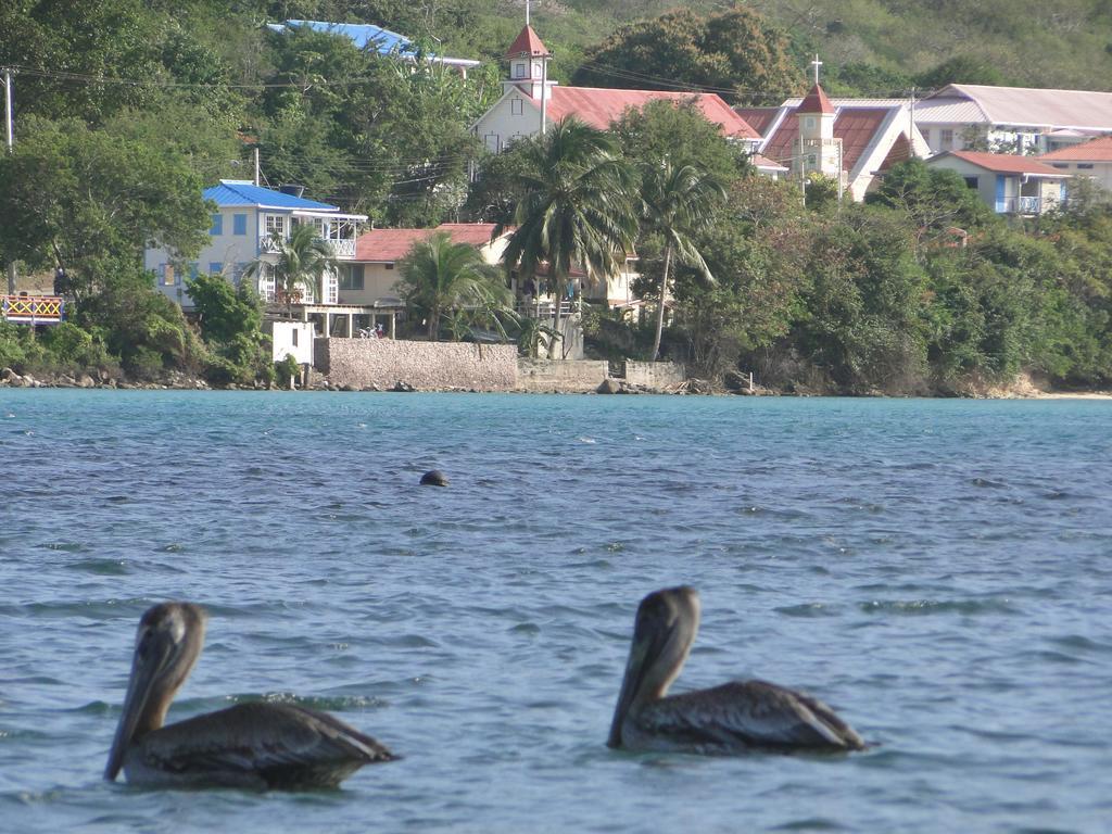 Providencia Island 阳光天堂宾馆酒店 外观 照片