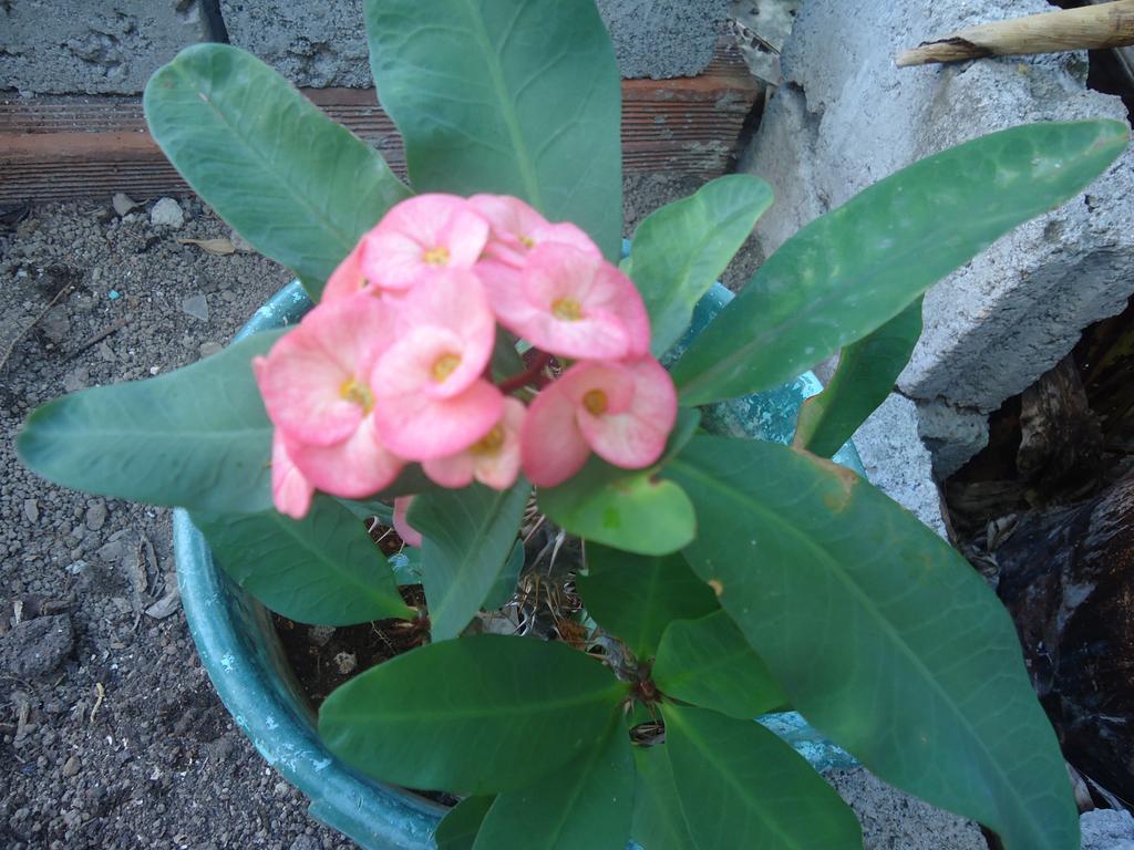 Providencia Island 阳光天堂宾馆酒店 外观 照片