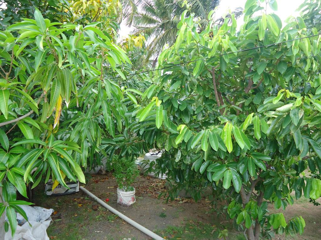 Providencia Island 阳光天堂宾馆酒店 外观 照片