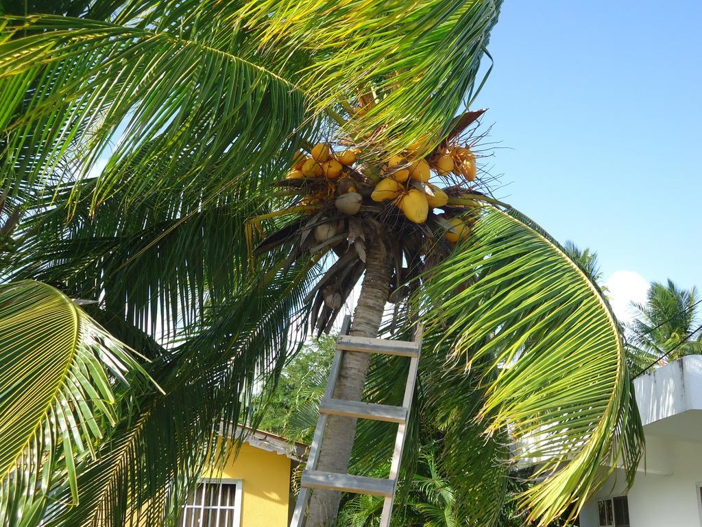 Providencia Island 阳光天堂宾馆酒店 外观 照片