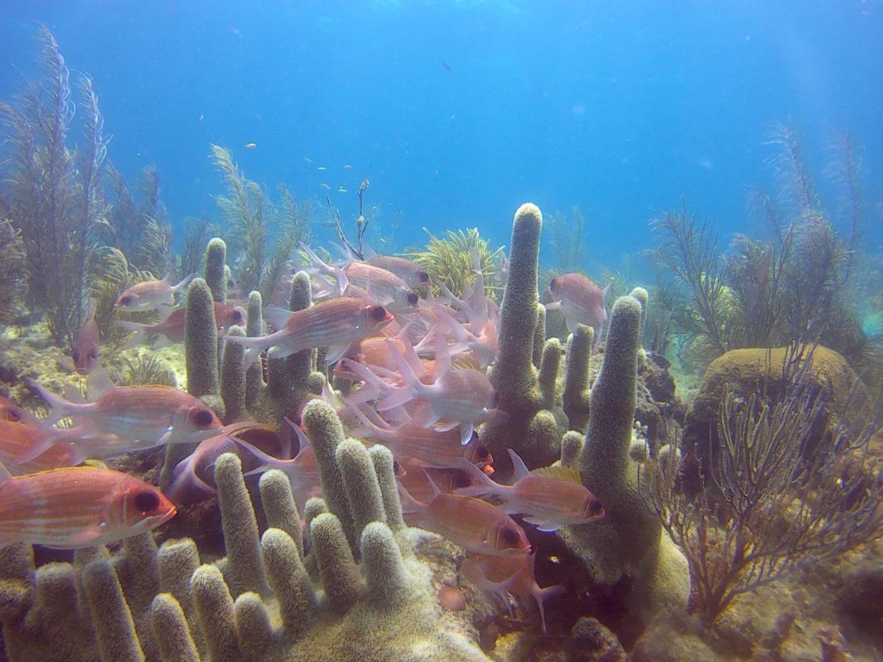 Providencia Island 阳光天堂宾馆酒店 外观 照片