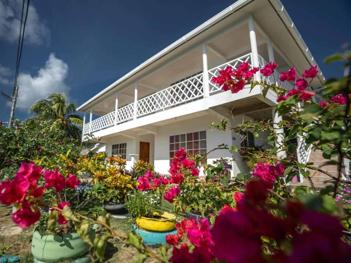 Providencia Island 阳光天堂宾馆酒店 外观 照片